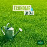 Vert toutes saisons - Pelouse verte toutes saisons - 1 kg - image